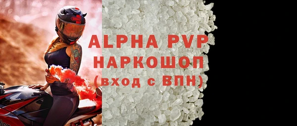 молекула духа Ростов