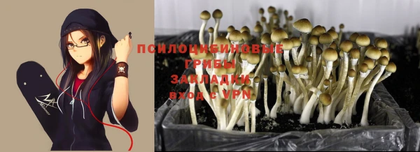 альфа пвп Россошь
