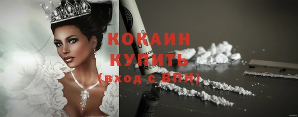 молекула духа Ростов