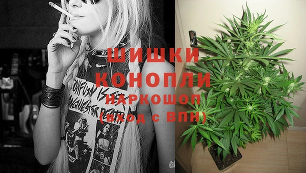 молекула духа Ростов