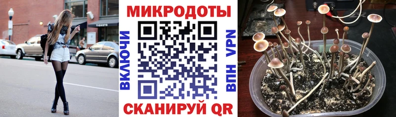 Купить закладки  Теберда  Псилоцибиновые грибы прущие грибы 