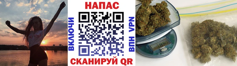 Купить где  Теберда  Конопля Amnesia 